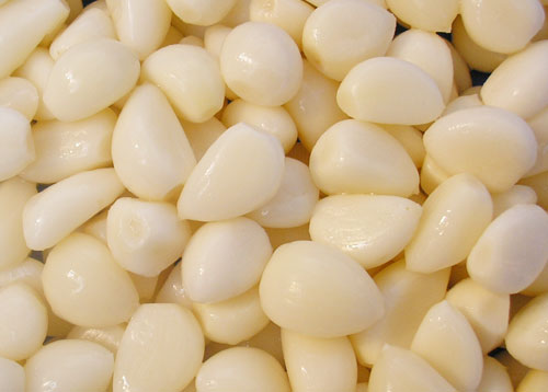 garlic  Made in Korea